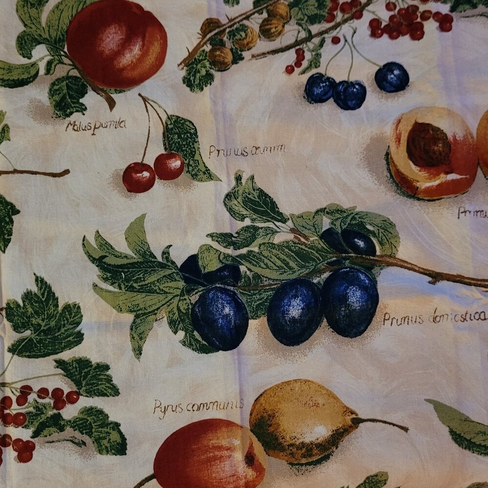 Vintage Fruit Fabric Remnant - Heavier Cotton 22" x 24"